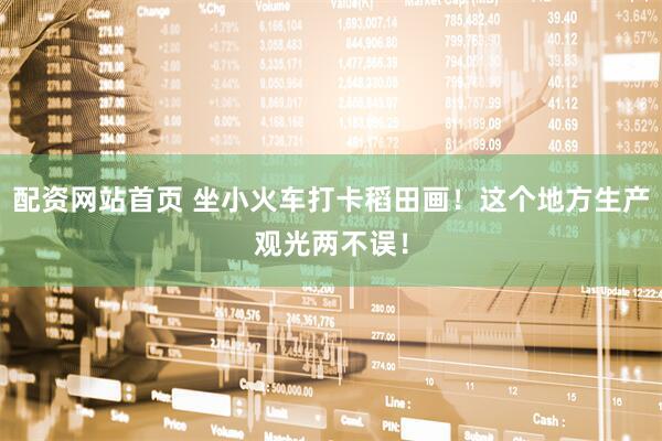 配资网站首页 坐小火车打卡稻田画！这个地方生产观光两不误！